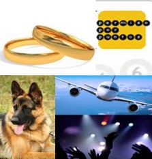 Assegurances particulars - ALTRES